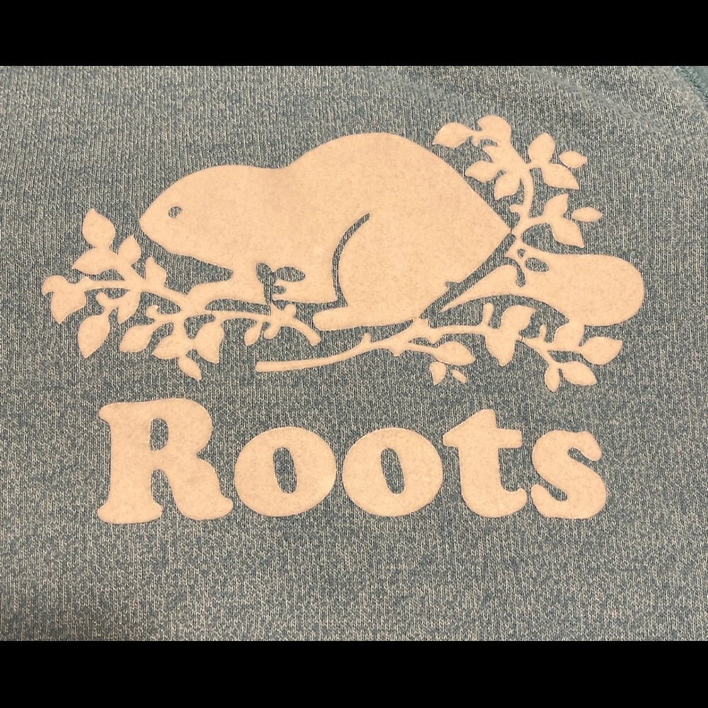 Roots kids large green hoodie